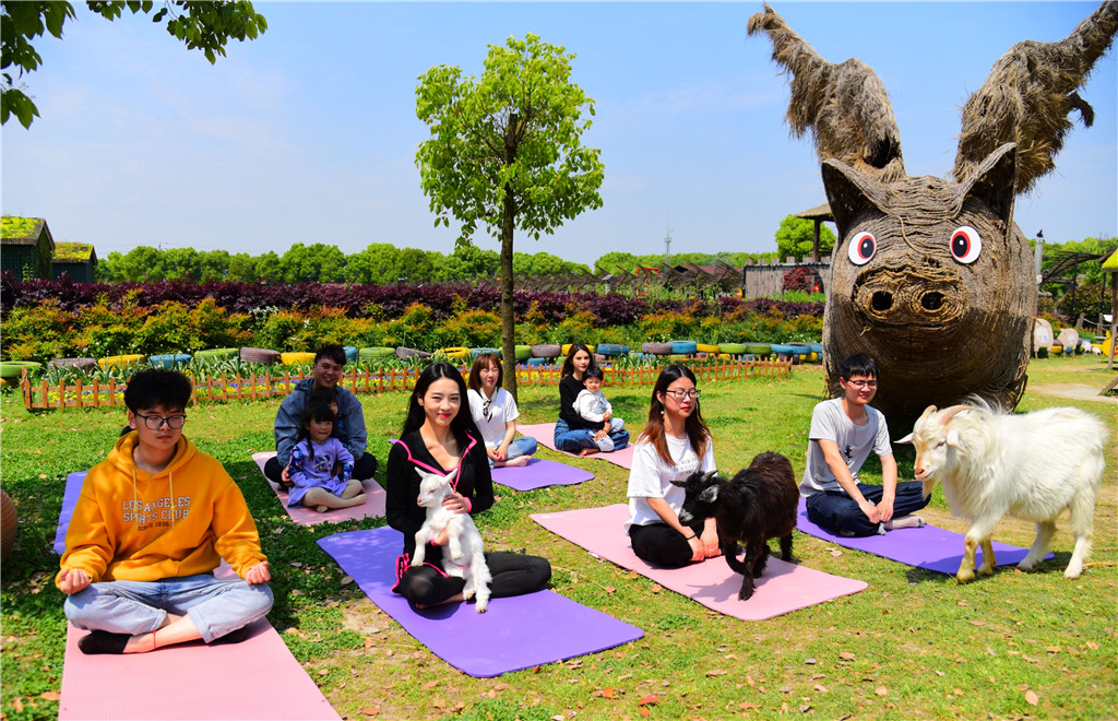 2021年4月21日，浙江省嘉兴市桐乡猪舍里举办了一场妙趣横生的“山羊瑜伽”运动会，现场游客和山羊、兔子等小动物共同挑战高难度瑜伽动作，瑜伽作为一种古老的健身运动备受推崇，而“山羊瑜伽”作为新晋网红项目更是迅速走红，边练瑜伽边和小动物亲密互动的方式更被称为“休闲解压两不误”。