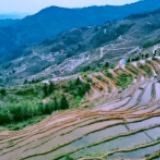 湖南山地度假旅游如何推进？听听专家大咖的这些干货