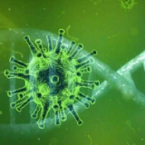 李克强主持召开中央应对新冠肺炎疫情工作领导小组会议