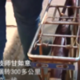 微视频丨逆行青春