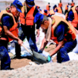 新华每日电讯丨去洞庭“心腹之患”须治“软脚堤坝”