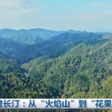 福建长汀：从“火焰山”到“花果山”