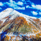 秋冬美景惊艳同框！云南白马雪山遇初雪