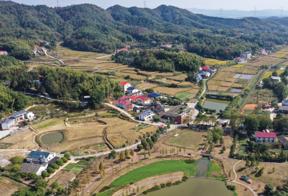 晒谷坪里共话共同富裕｜开慧镇锡福村：农业需要科技，农村需要青年人