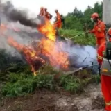 森林火险红色、橙色预警连发，湖南这些地区“极度危险”！