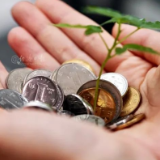 规范和引导资本健康发展！如何看中央释放的这个重磅信号→