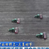 【在希望的田野上·三夏时节】我国春播接近尾声 粮食生产形势良好