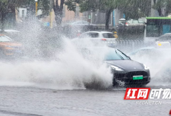 组图丨比突如其来的爱情更珍贵的，是夏日里突如其来的大雨