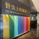 这里有意思丨探寻针尖上的湖湘之美