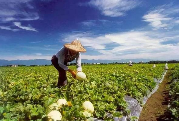 湖南省十年累计培育高素质农民27.6万人