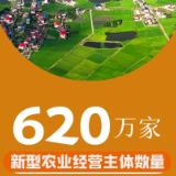 数读中国 | 六组数据读懂“丰收答卷”因何而来