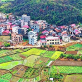 湖南：春耕不只“泥巴味”