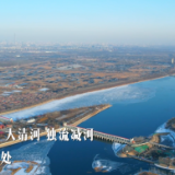 习近平天津行丨水退一亩 耕进一亩——走进辛口镇第六埠村