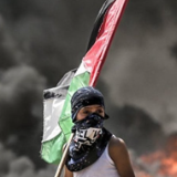 26个欧盟成员国呼吁加沙地带立即停火