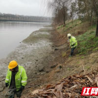 守护一江碧水丨“清河净滩”共护望城碧水蓝天