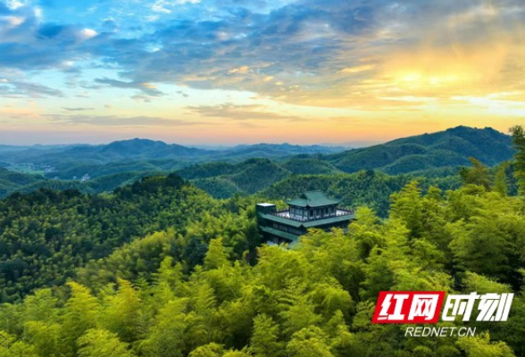 湖南2023林业总产值5371亿元：绿色“钱库”成为生态富民新马力
