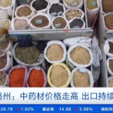 猫爪草价格涨超8倍！中药材价格持续走高，出口呈现增长趋势