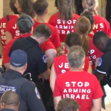 美国上百人在国会山抗议以军加沙行动 多人被逮捕