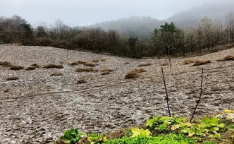 刚刚！湖南下雪了！！