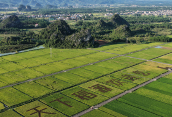 评论区亮了丨为“天下稻源”感到震撼，文明的火种在这里从未熄灭