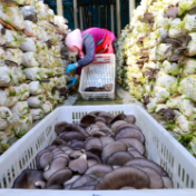 春暖大地劳作忙