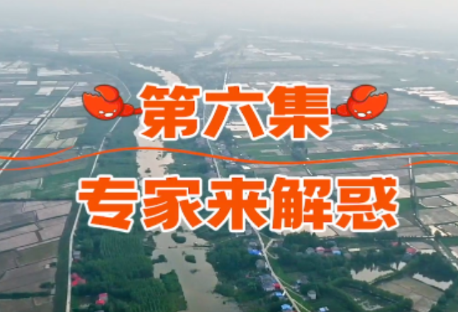 南县种虾记丨专家来解惑