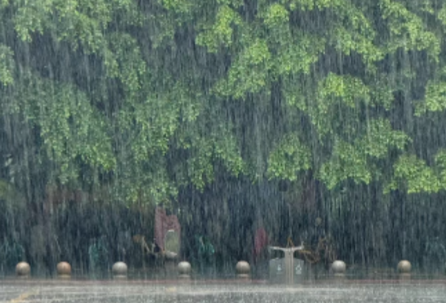 暴雨橙色预警！湖南10市将出现暴雨，局地大暴雨！