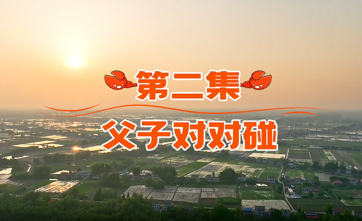 南县种虾记：父子对对碰