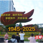 铭记历史·致敬英雄——抗战胜利80周年花坛绽放长安街