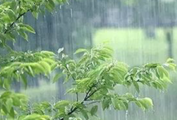 湖南今天阴天有小雨 湘南局地中雨