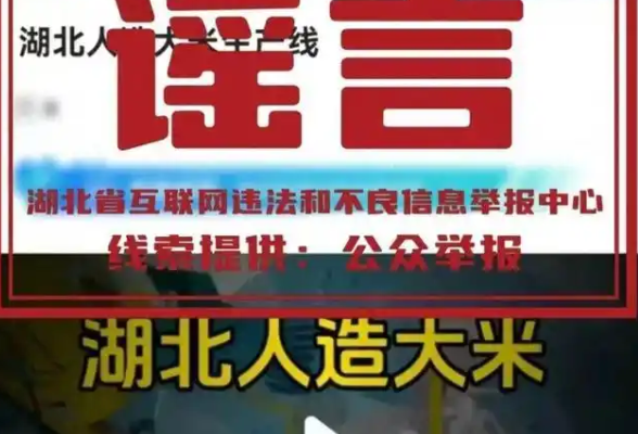 湖北警方辟谣“人造大米生产线”