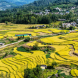 5月1日起正式施行 湖南省广泛宣传《全国农业普查条例》