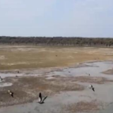 【秋之韵·陕西榆林】河口天鹅自然保护地：碧水黄沙 候鸟云集
