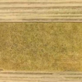 全国冬小麦播种过九成 面积有望保持稳定