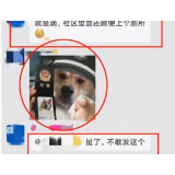 网友在微信群发“狗狗表情包”被指辱警：构成寻衅滋事拘9天