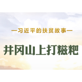 习近平的扶贫故事丨井冈山上打糍粑