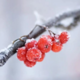 强雨雪+降温+大风，这份出行提示请收好！