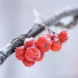 压实黑土地保护责任