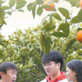 在希望的田野上建功立业