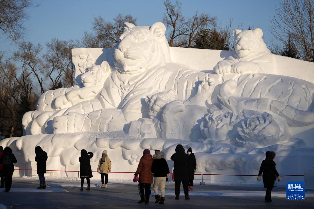 12月24日，在太阳岛雪博会园区，游客在雪雕前游览。新华社记者 王建威 摄