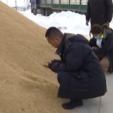 中储粮：中晚稻最低收购价收购进程过半 收购量较去年明显增加