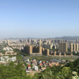 打造“五好”园区 推动经济高质量发展