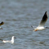 四部门联合发文 部署加强城市节水工作