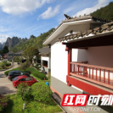湖南旅游发展公司：坚持党建引领 精细化管理应对行业寒潮