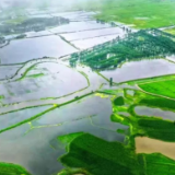 大山深处有人家（走进传统村落⑤）