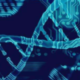 美国累计新冠肺炎确诊病例超9723万例