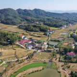 新时代新征程新伟业 | 湖湘干群齐心话振兴 党的二十大精神在田间地头“生根发芽”