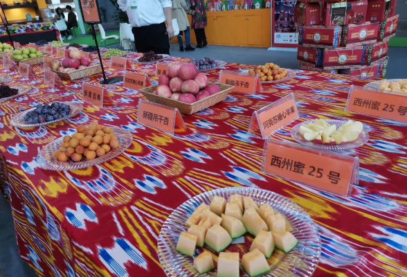 援疆新闻丨湖南援疆助力，吐鲁番甜美农产品闪亮农博会
