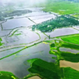 新春走基层丨正月里来话振兴