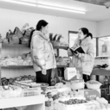 听！城市的脉动